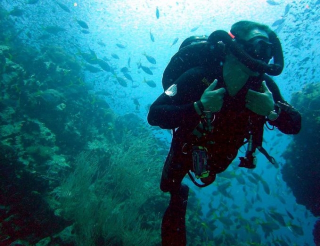 Descubrimientos submarinos para principiantes 